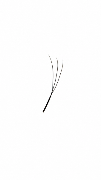 Готові пучки AirLashes Plexus 3D0.07, (20 ліній) MIX 95166718 фото